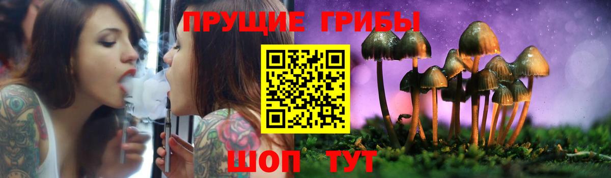 Сергиев Посад  Галлюциногенные грибы ЛСД  Вход с VPN  Галлюциногенные грибы Psilocybine cubensis 