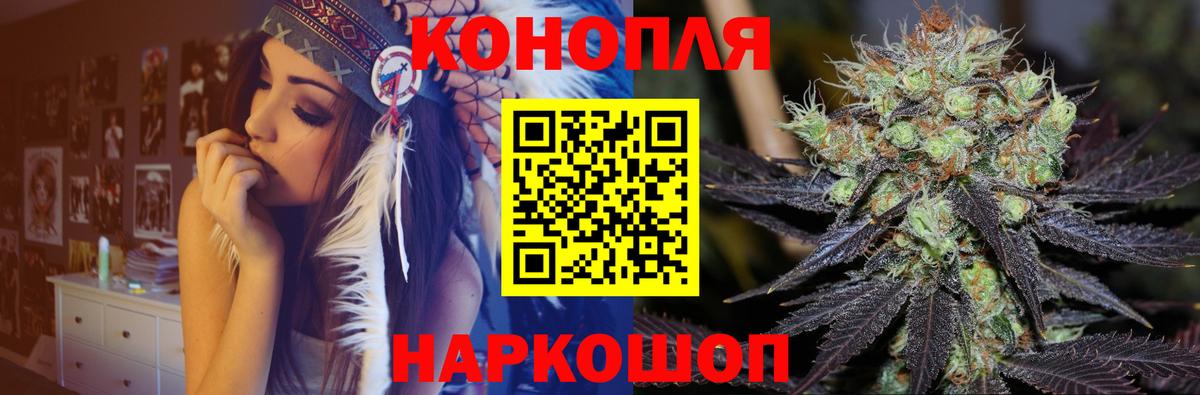 Каннабис сатива Сергиев Посад